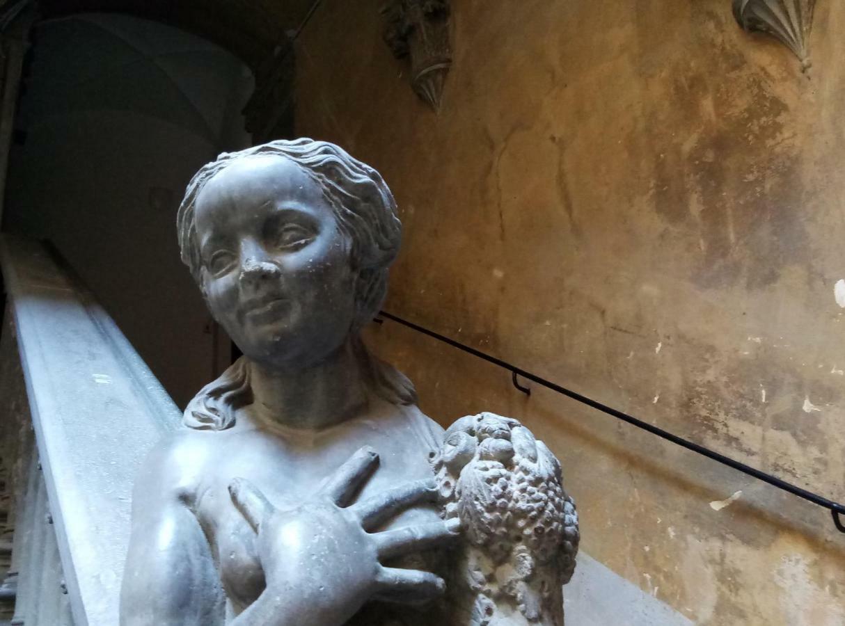 Apartament Palazzo Larioni Dei Bardi Florencja Zewnętrze zdjęcie